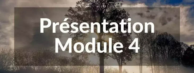 Image de présentation leçon